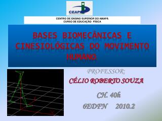 Bases Biomecânicas e CINESIOLÓGICAS do Movimento humano .