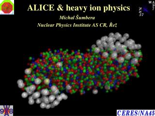 ALICE &amp; heavy ion physics