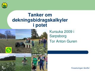 Tanker om dekningsbidragskalkyler i potet