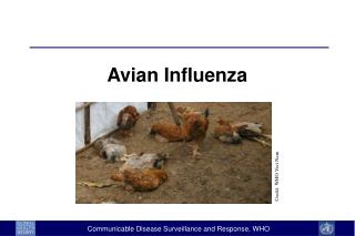 Avian Influenza