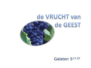 de VRUCHT van de GEEST