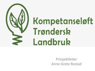 Prosjektleder Anne Grete Rostad