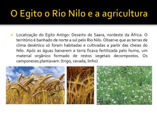 O Egito o Rio Nilo e a agricultura