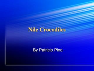 Nile Crocodiles