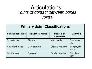 Articulations