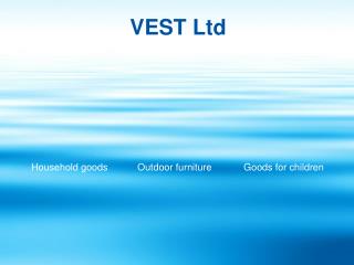 VEST Ltd