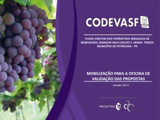 MOBILIZAÇÃO PARA A OFICINA DE VALIDAÇÃO DAS PROPOSTAS
