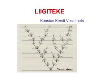 LIIGITEKE