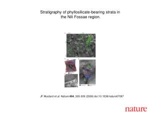 JF Mustard et al. Nature 454 , 305-309 (2008) doi:10.1038/nature07097