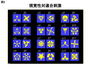 視覚性対連合刺激