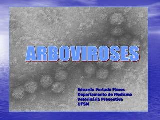 ARBOVIROSES