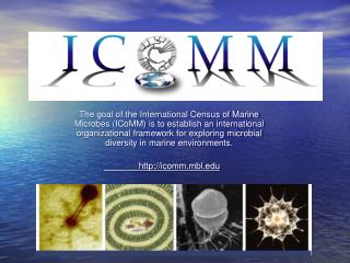 icomm.mbl/