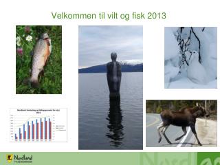 Velkommen til vilt og fisk 2013