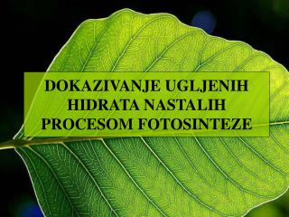 DOKAZIVANJE UGLJENIH HIDRATA NASTALIH PROCESOM FOTOSINTEZE