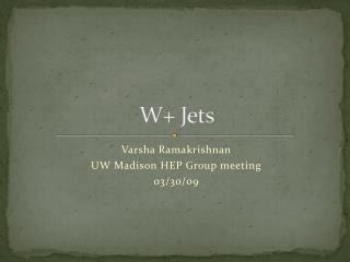 W+ Jets