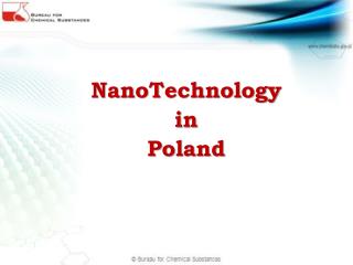 NanoTechnology in Poland