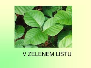 V ZELENEM LISTU