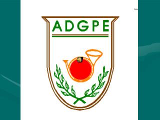 A . D . G . P . E