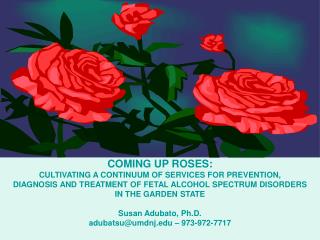 COMING UP ROSES: CULTIVATING A CONTINUUM OF SERVICES FOR PREVENTION,
