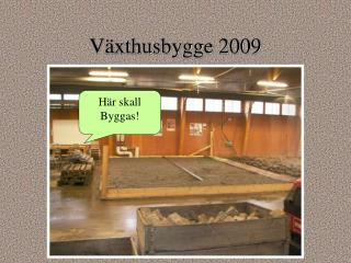 Växthusbygge 2009