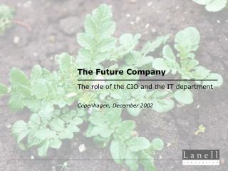 The Future Company The role of the CIO and the IT department Copenhagen , December 2002