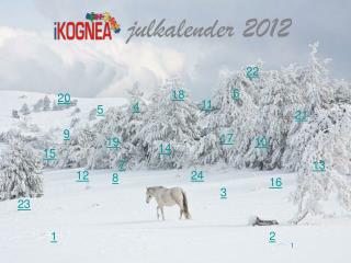 julkalender 2012