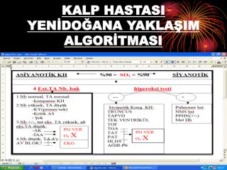 KALP HASTASI YENİDOĞANA YAKLAŞIM ALGORİTMASI