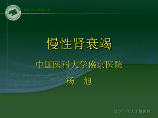 中国医科大学盛京医院 杨 旭