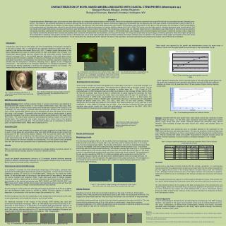 CHARACTERIZATION OF NOVEL NAKED AMOEBA ASSOCIATED WITH COASTAL CTENOPHORES ( Mnemiopsis sp. )