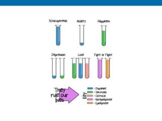 6.1 Examples of small-molecule and peptide neurotransmitters. (Part 1)