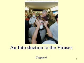 An Introduction to the Viruses