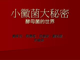 小黴菌大秘密 酵母菌的世界