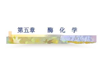 第五章 酶 化 学