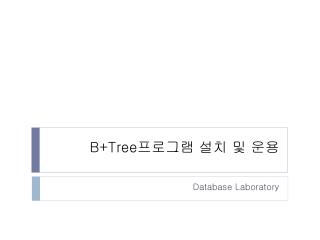 B+Tree 프로그램 설치 및 운용