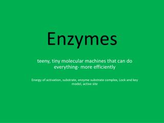 Enzymes