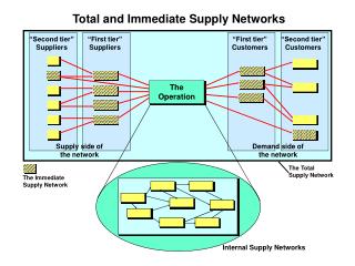 Total and Immediate Supply Networks