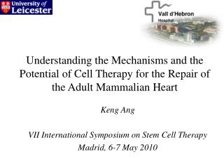 Keng Ang VII International Symposium on Stem Cell Therapy Madrid, 6-7 May 2010