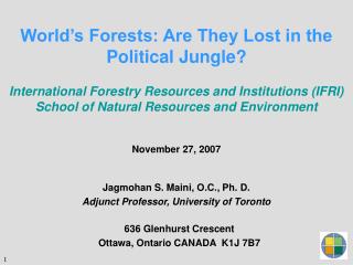 World’s Forests: Are They Lost in the Political Jungle?