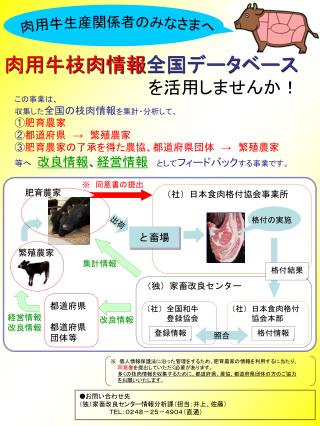 肉用牛枝肉情報 全国データベース を活用しませんか！