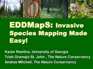 EDDMapS: Invasive Species Mapping Made Easy!