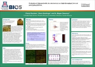 Evaluation of oligonucleotide rice microarrays as a high-throughput, low-cost