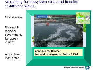 Accounting for ecosystem costs and benefits at different scales…