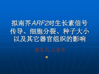 拟南芥 ARF2 对生长素信号传导、细胞分裂、种子大小以及其它器官组织的影响