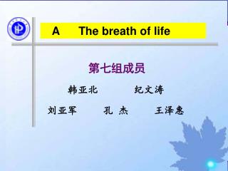 第七组成员 韩亚北 纪文涛 刘亚军 孔 杰 王泽惠