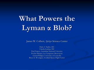 What Powers the Lyman α Blob?