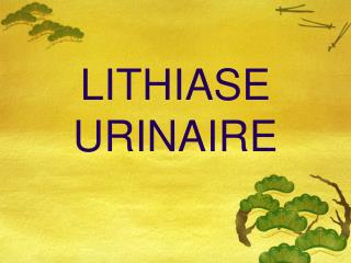 LITHIASE URINAIRE