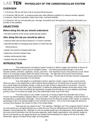 LAB TEN PHYSIOLOGY OF THE CARDIOVASCULAR SYSTEM OVERVIEW