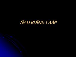 ÑAU BUÏNG CAÁP