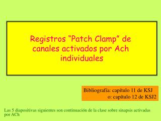 Ach: Patch-clamp