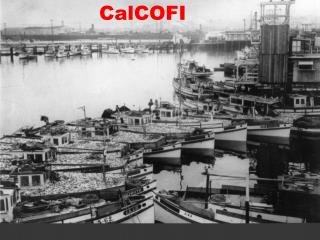 CalCOFI
